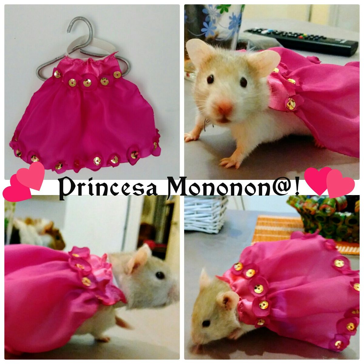 Resultado de imagen de COMO HACER ROPA PARA HAMSTERS