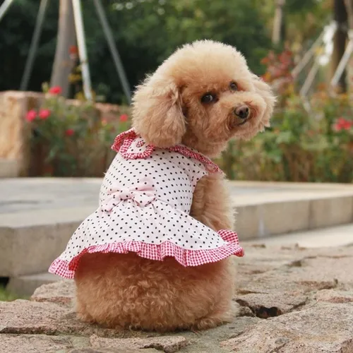 ropa para mascotas - vestido para perro marca dobaz