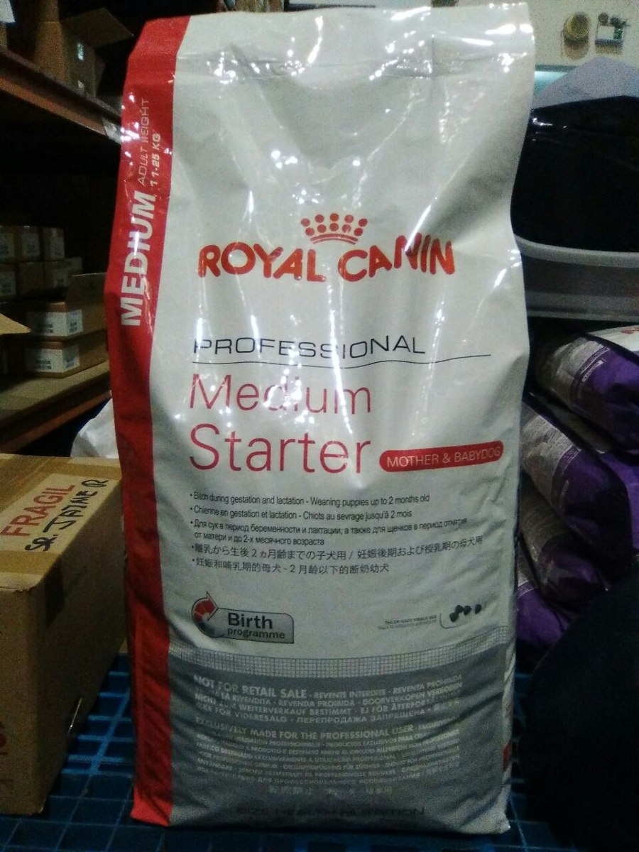 royal canin professional medium starter 20kg