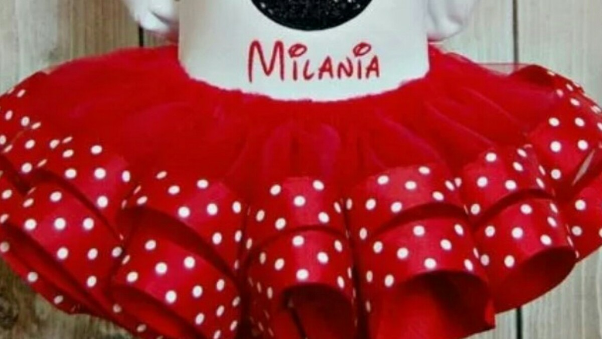 saia da minnie de tule