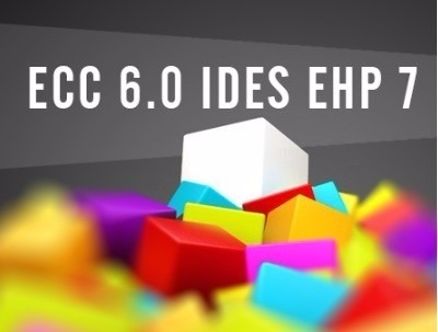 sap ecc 6.0 ehp7 hard disk sap ecc 6.0 ehp7 hard disk