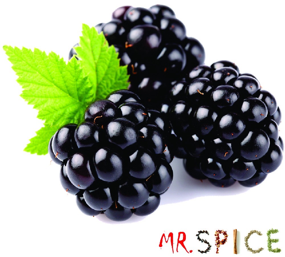Sementes De Amora A Verdadeira Fruta Blackberry Americana 