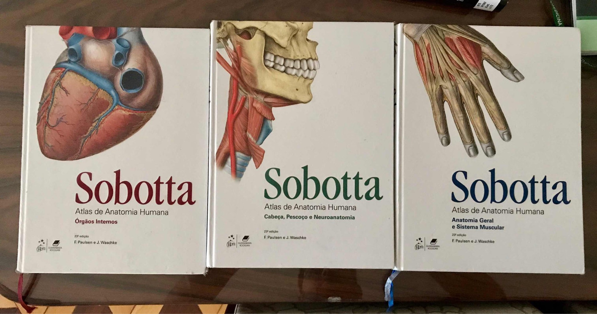 sobotta anatómia pdf to word