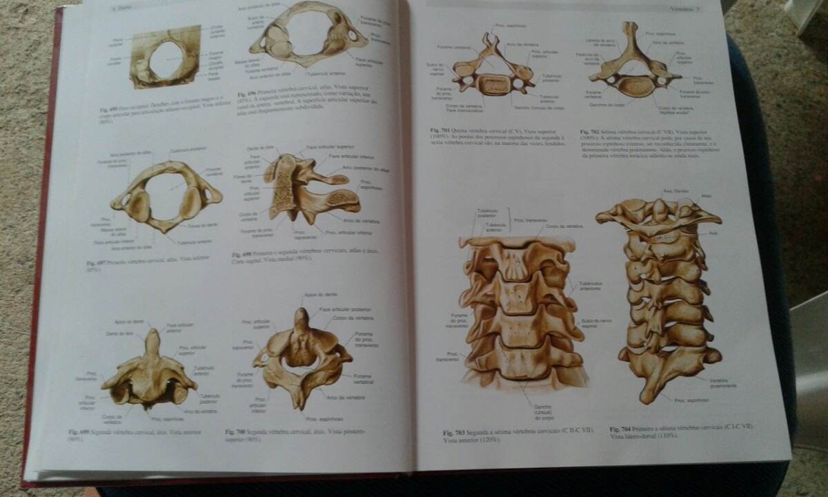 Atlas fisiologia humana