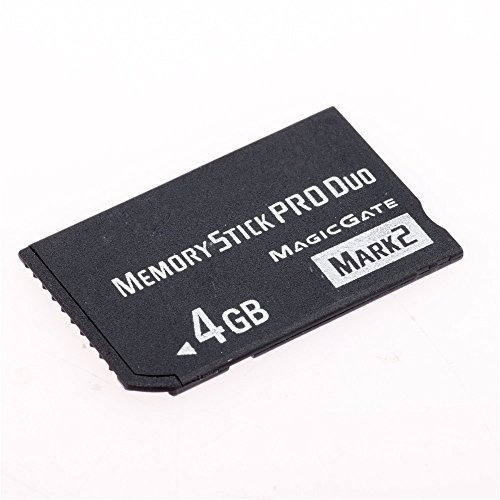 MEMORY STICK PRO DUO MAGICGATE MARK 2 WINDOWS 10 DOWNLOAD DRIVER MEMORY STICK PRO DUO MAGICGATE MARK 2 DRIVER FOR WINDOWS 8