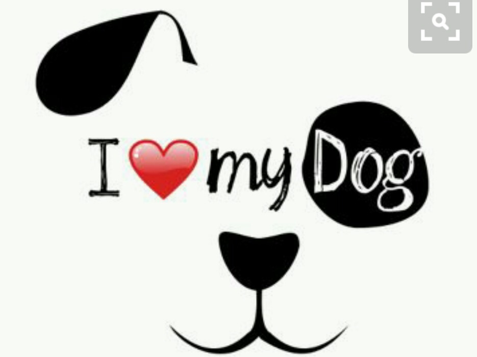 Download Sticker Vinil I Love My Dog - $ 250.00 en Mercado Libre