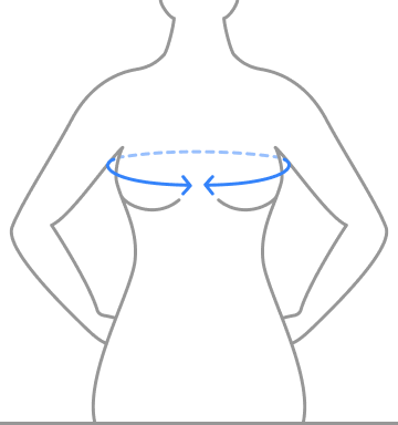 Contorno del busto
