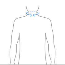 Contorno del cuello