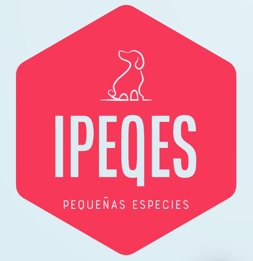 IPEQES GDL