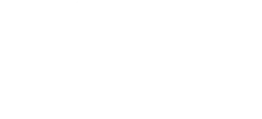 FORM HOME STORE