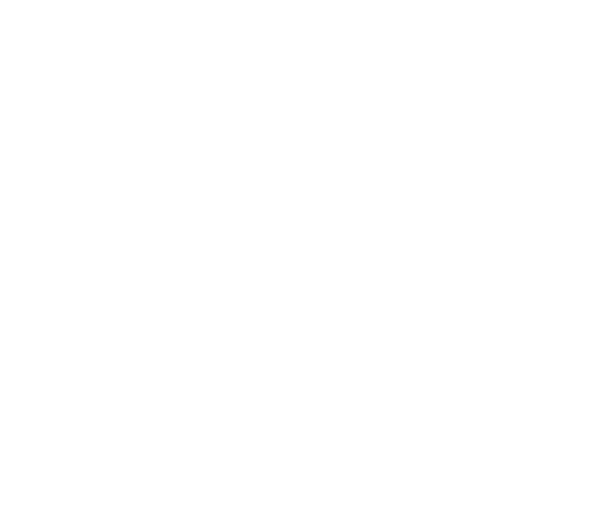 Mecautor Volkswagen