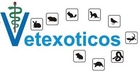 VETEXOTICOS, Veterinaria de animales exóticos