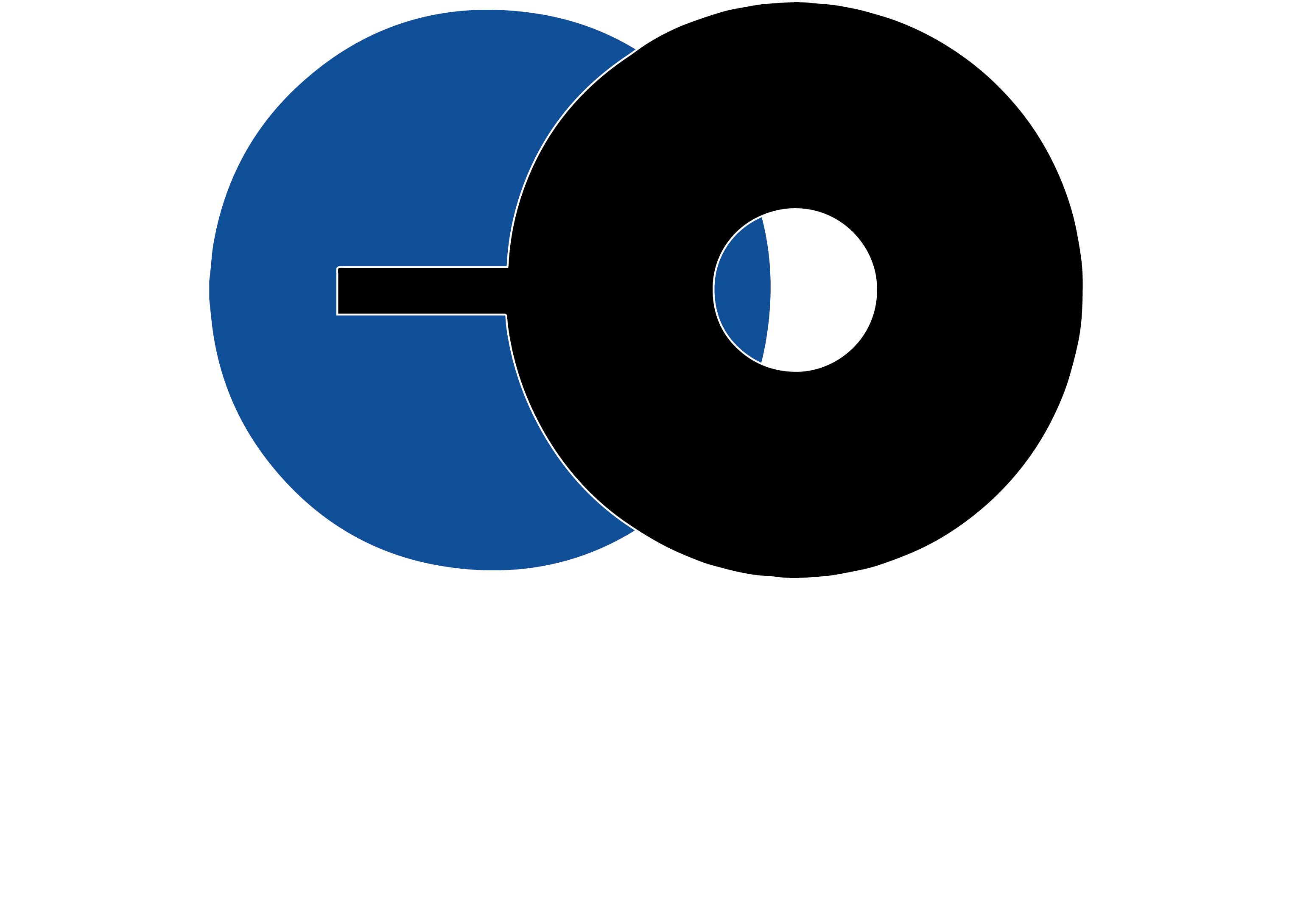 Luis Spitale Bikes