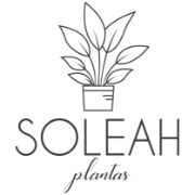 SOLEAH PLANTAS