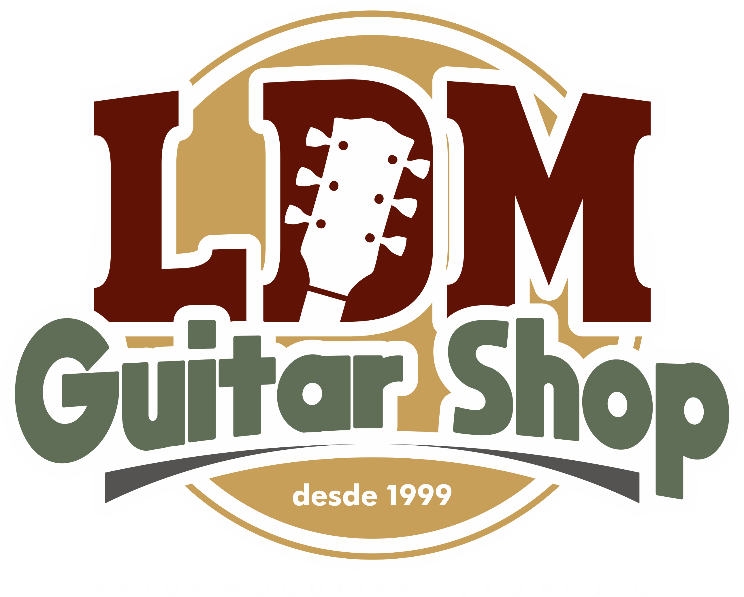 LDM Guitar Shop