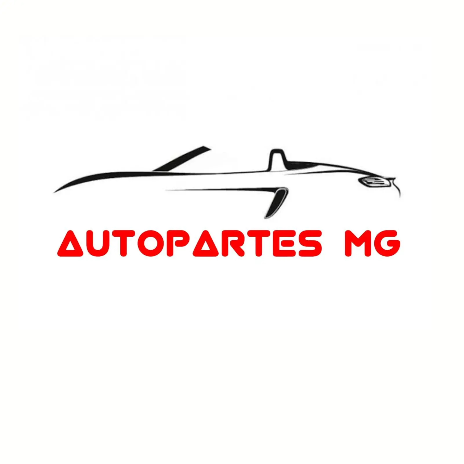 AUTOPARTES MG