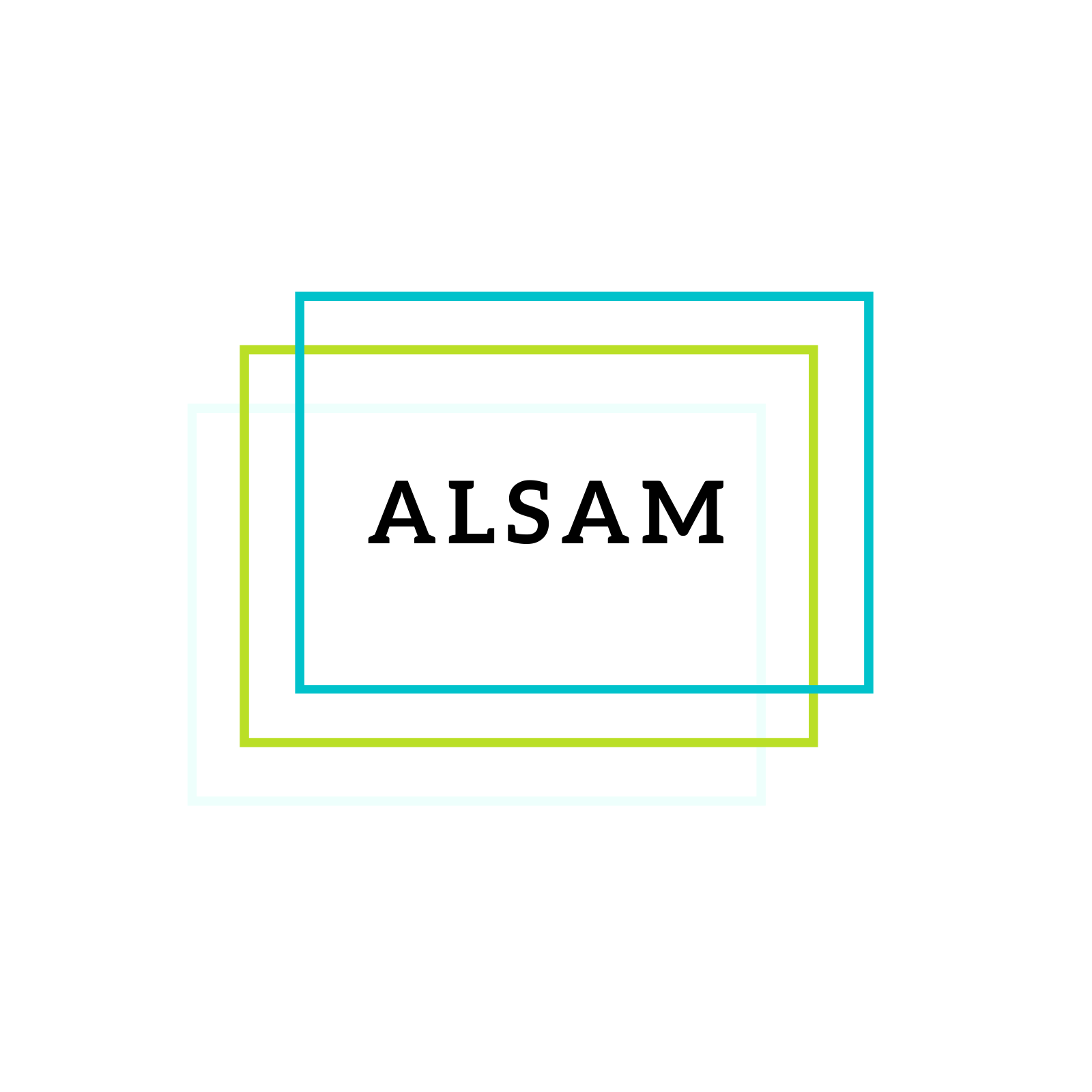 ALSAM Solutions