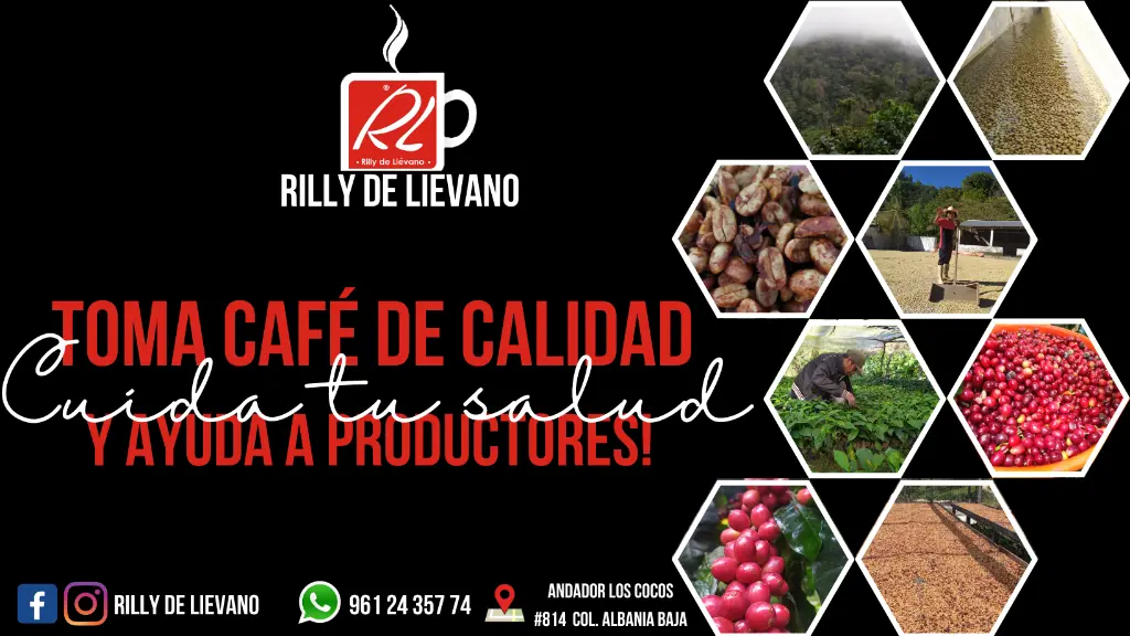 RILLY DE LIEVANO CAFÉ