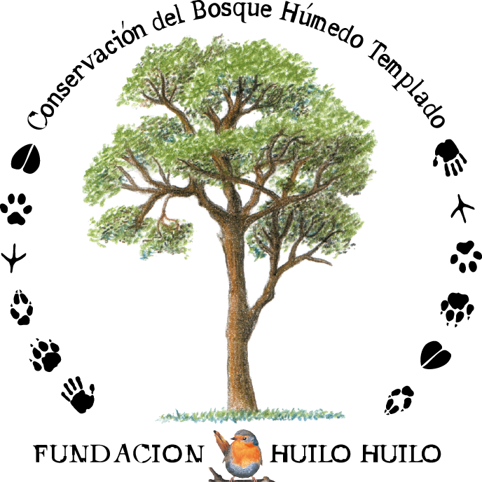 FUNDACIÓN HUILO HUILO