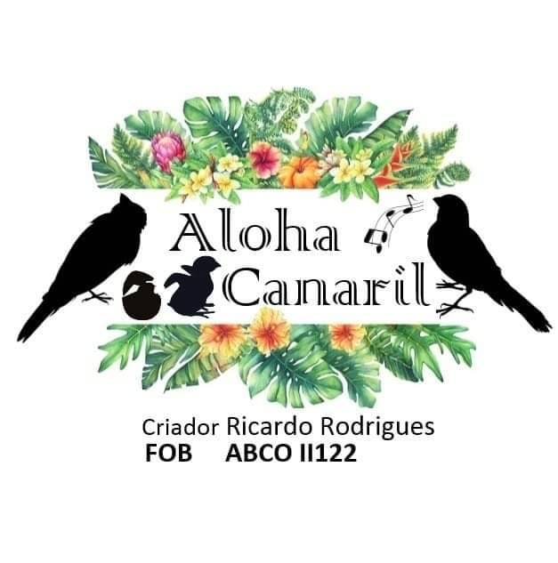 Aloha Canaril