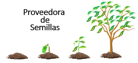 PROVEEDORASEMILLAS