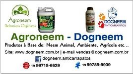 TAMY DOGNEEM