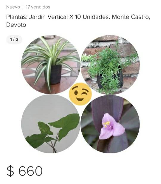 plantas MONTE CASTRO