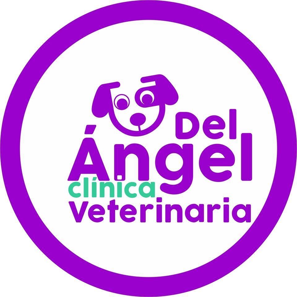 DEL ANGEL CLINICA VETERINARIA