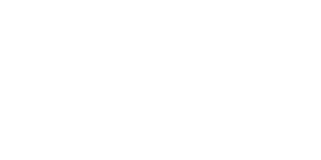 NelSom Instrumentos Musicais