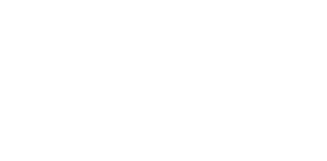 ORGSURAUTO