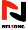 NelSong SpA