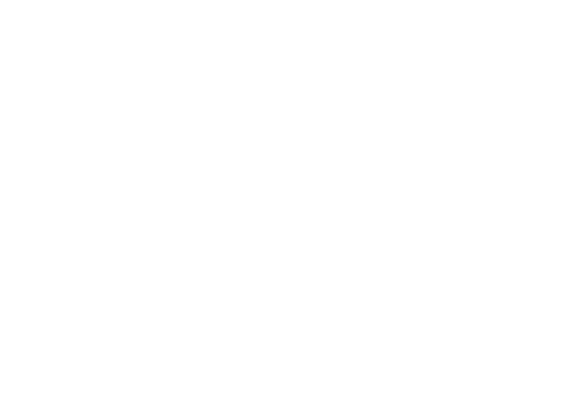 PARTY & BALLOONS BOUTIQUE