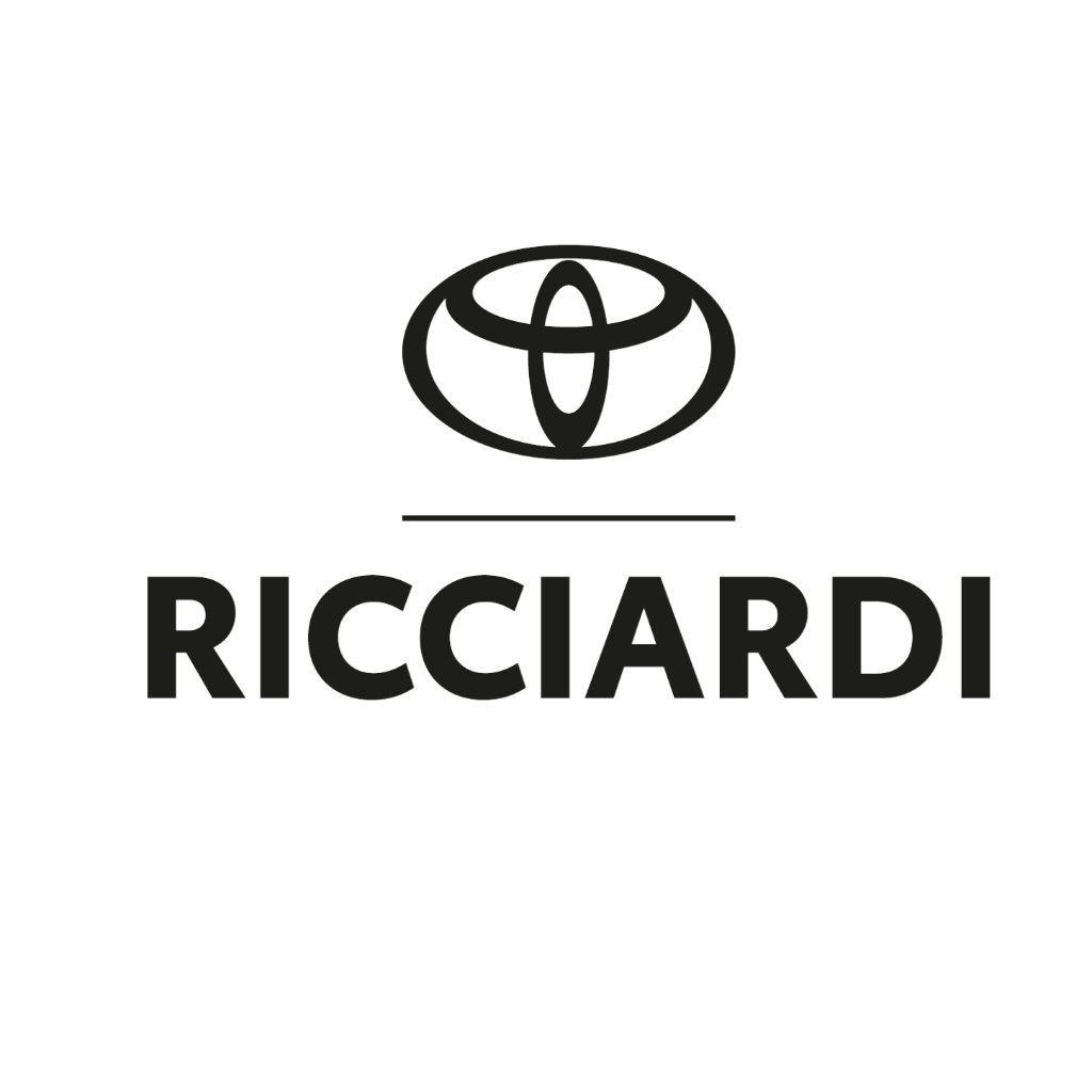 Repuestos Ricciardi