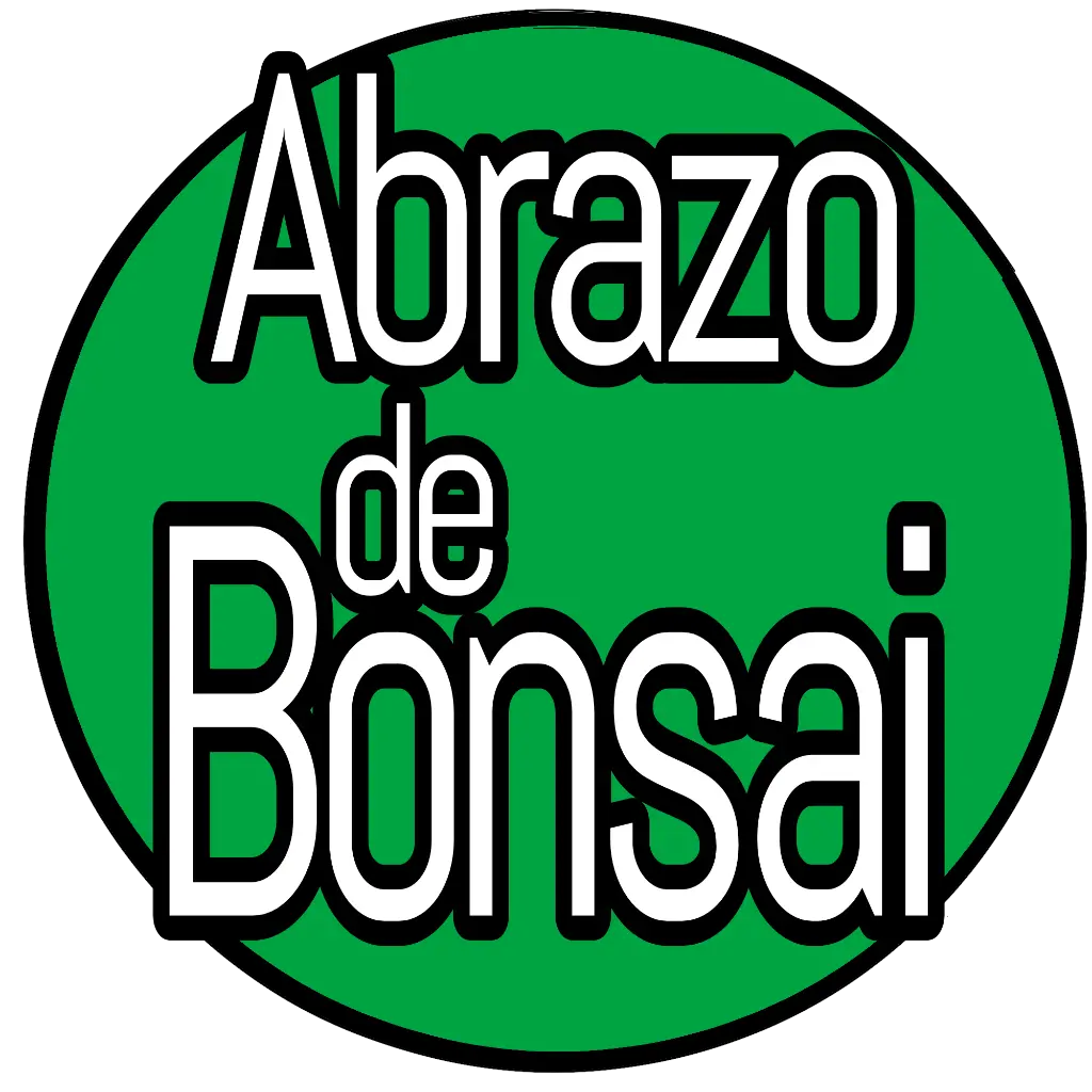 Abrazo de bonsai