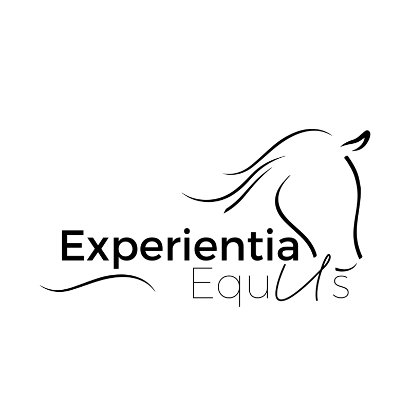 Experientia Equus