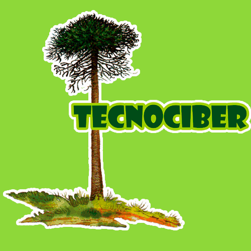 Tecnociber Chile