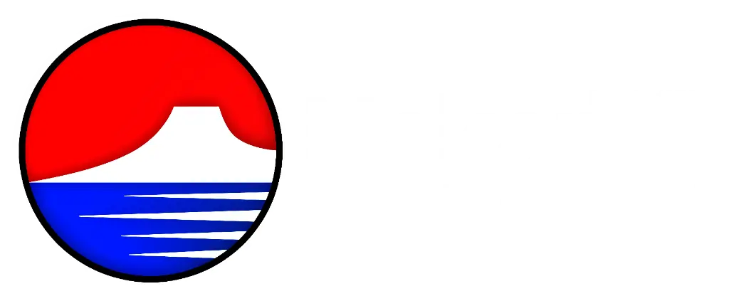 NAKAMA ELECTRONICA
