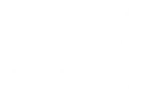 YIM SPORTS