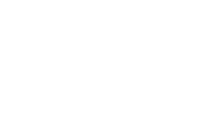 CAT WALKER