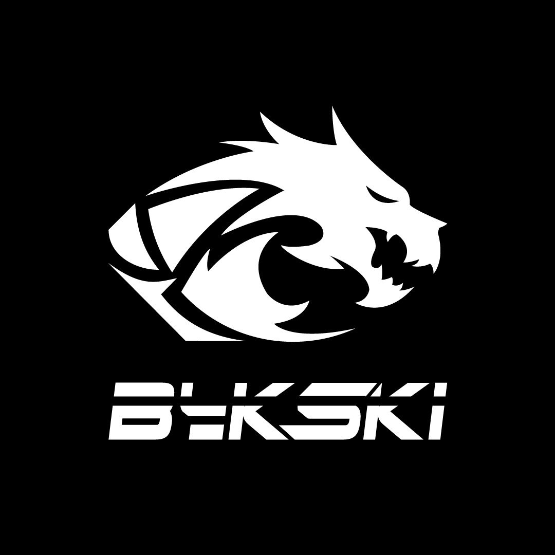 bykski-com-br