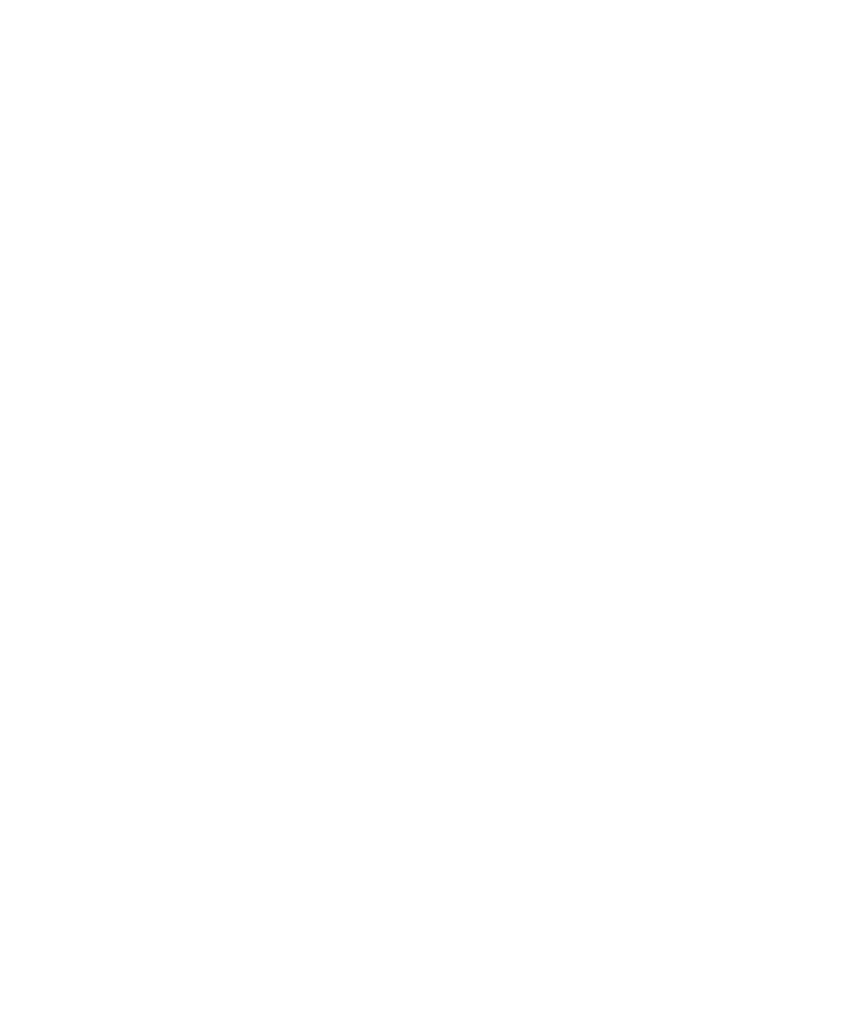 The Toy Store Argentina