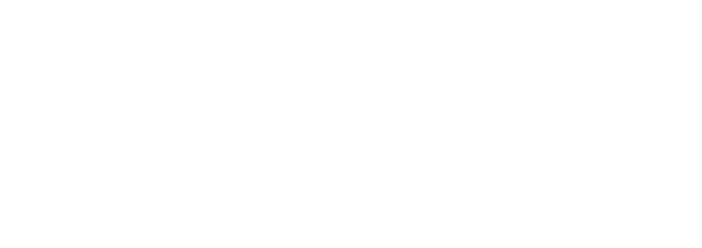 Denko Internacional S.A. de C.V.