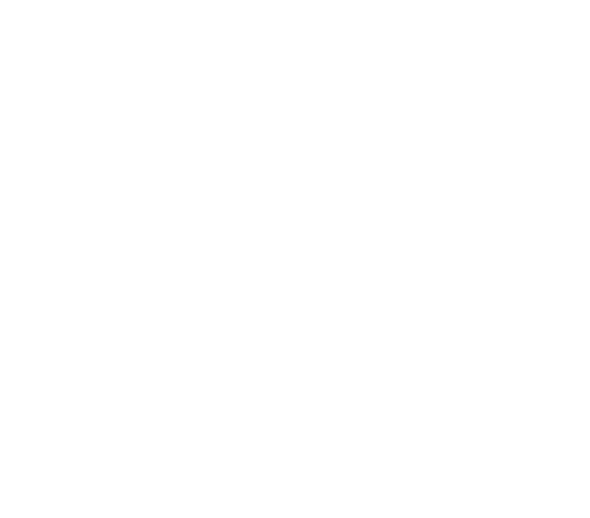 eva lingerie