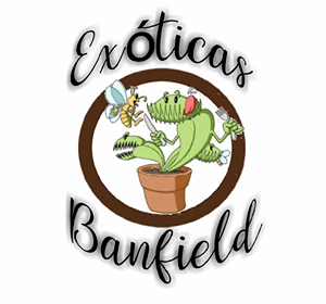 Exoticas Banfield