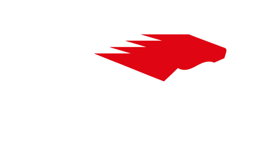 PFERD® TECH