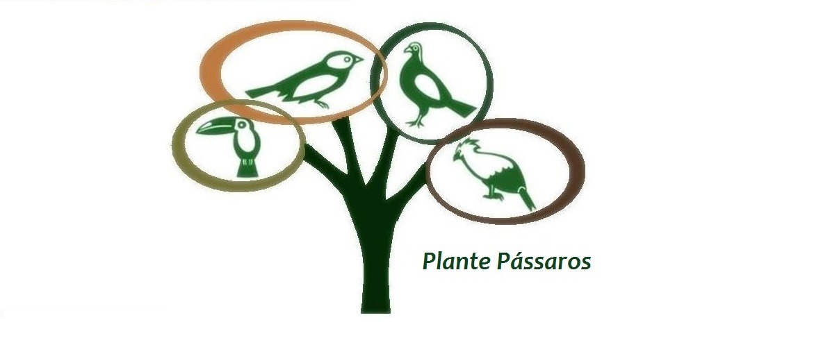 Plante Pássaros