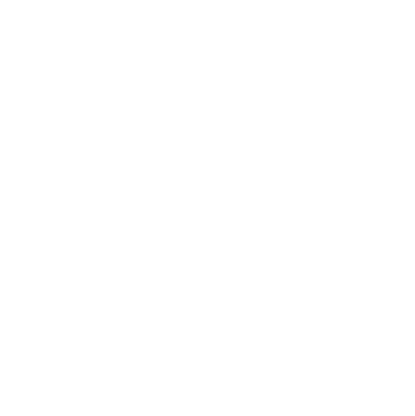 BRING INGENIERIA