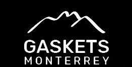 GASKETS Y ELASTOMEROS