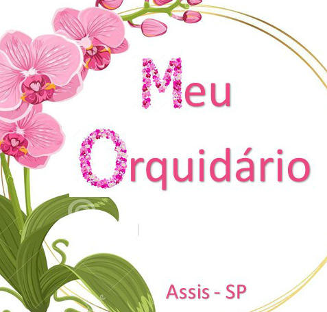 MEU ORQUIDARIO