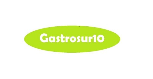 Gastrosur10